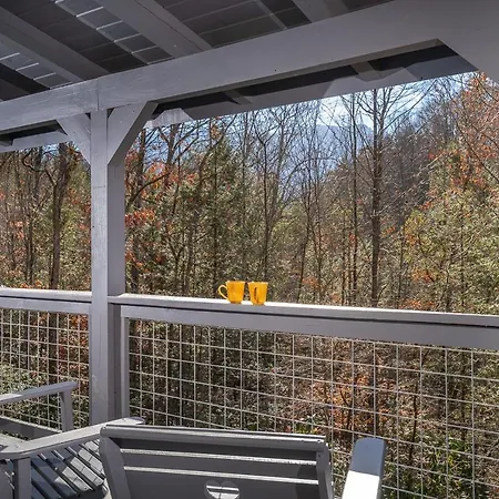 Bear Necessity By Stony Brook Cabins